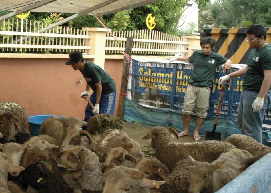 Since 1997: Al Huda’s Commitment to Qurban